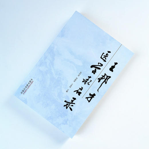 现货正版【出版社直销】王邦才医学承启录 伍竹君 刘丽萍 王培劼 编 中国中医药出版社 中医临床医案讲习录中医养生保健伤寒来苏集 商品图1