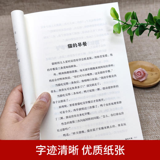 《百年经典儿童文学名家作品集》（全8册）中小学语文课外阅读 商品图4