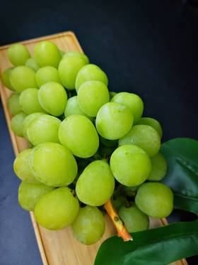  不辜负每一颗向阳的葡萄。 