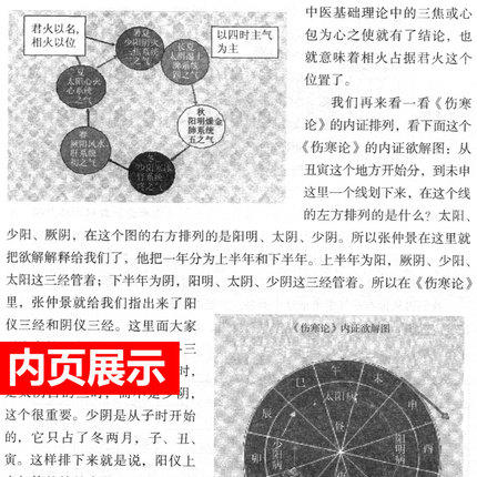 扶阳论坛（2）(中医火神派名家之华山论剑) 卢崇汉/刘力红//孙永章 著 中国中医药出版社 中医书籍 中医文化 商品图4