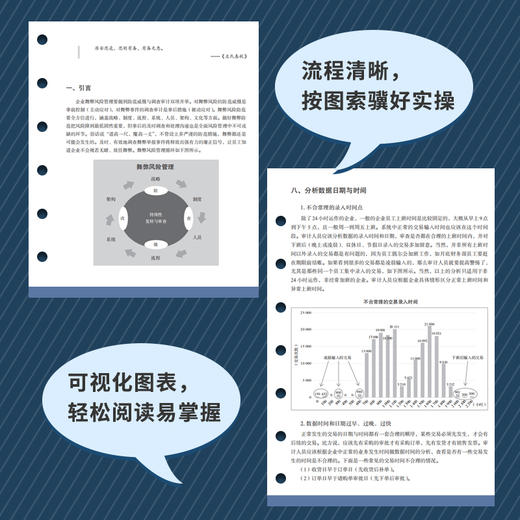 舞弊审计实务指南 商品图4