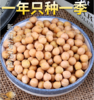 鹰哥生鹰嘴豆新疆木垒鹰嘴豆生豆1000g/袋 新疆特产新疆美食 商品缩略图6