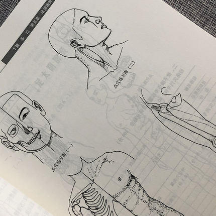 经络腧穴学技能实训（中医临床技能实训系列教材）普通高等教育十一五规划教材 张伯礼 编 中国中医药出版社 商品图2