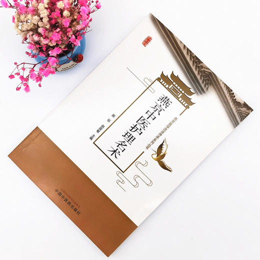 正版 现货【出版社直销】燕京中医护理名术 郝丽 赵国敏 主编 中国中医药出版社  外科 妇科 儿科 中医临床书籍 商品图1