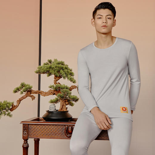 Threegun三枪 【艾草抗菌】圆领男士长袖上衣打底衫-23681A021 商品图1
