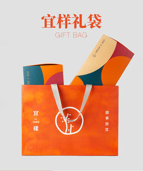 宜样礼品袋购物袋袋子  【单独拍不发货】