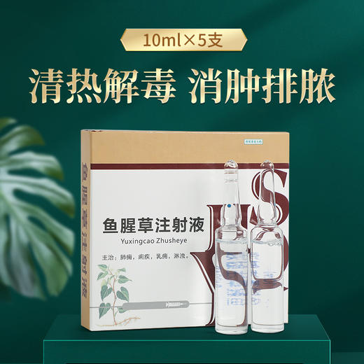 鱼腥草注射液10mlX5支 主治肺炎 痢疾 淋浊 商品图1
