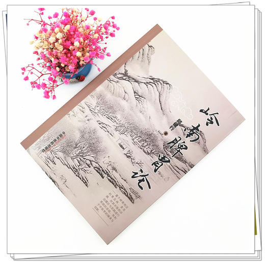 正版 现货【出版社直销】岭南脾胃论 邱健行 著 中国中医药出版社 中医临床书籍 方剂 中药 商品图1