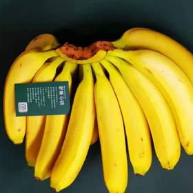 一大波新鲜水果正向你袭来！