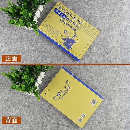【出版社直销】硕士研究生入学考试中医基础理论中医诊断学针灸学分册 中医综合精华笔记研究生入学考试书籍 中国中医药出版社 商品图2