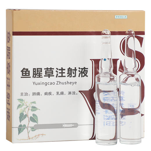 鱼腥草注射液10mlX5支 主治肺炎 痢疾 淋浊 商品图0