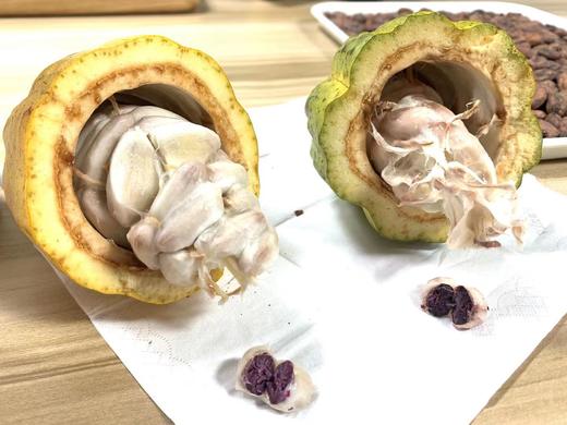 广州校区-CFCA认证精品可可初级课程 商品图4