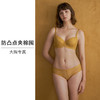 HSIA遐 内衣女薄秋色迷人蕾丝性感上托夹棉防凸点bra大胸显小文胸 商品缩略图1