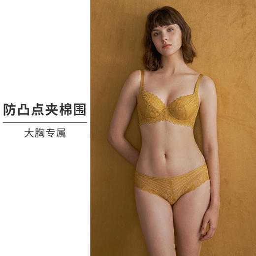 HSIA遐 内衣女薄秋色迷人蕾丝性感上托夹棉防凸点bra大胸显小文胸 商品图1
