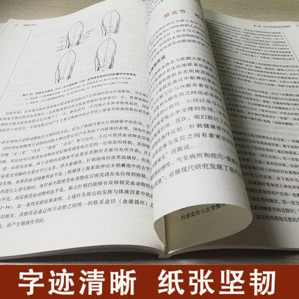 现货【出版社直销】实验针灸学（全国中医药行业高等教育十三五规划教材）郭义 著 中医药院校规划教材 第十版 中国中医药出版社 商品图4