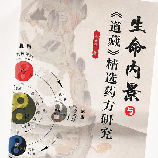 现货正版【出版社直销】生命内景与《道藏》精选药方研究 颜文强 著 中国中医药出版社 学术 药方剖析 急救科与五官科 经络的真相 商品图4