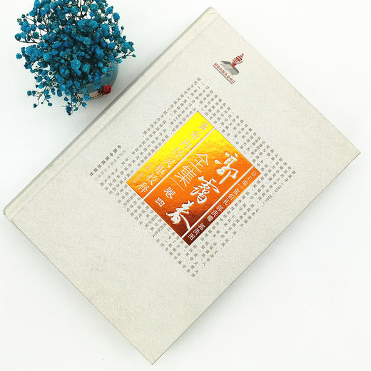 正版 现货【出版社直销】黄帝内经灵枢校释 （郭霭春全集卷四）中国中医药出版社 张伯礼 中医学术古籍书籍 商品图1