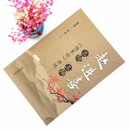 现货【出版社直销】赵进喜 三阴三阳伤寒论讲稿 赵进喜 著 中国中医药出版社 中医临床书籍 伤寒论 商品图1