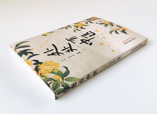 正版 现货 【出版社直销】 处处有中医  徐侃 孙鲁淼 著 中国中医药出版社 中医书籍  中医科普 养生 保健 商品图4