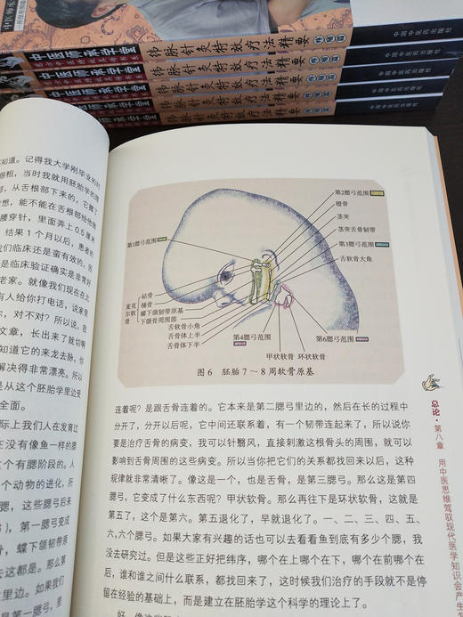 纬脉针灸特效疗法精要（疼痛篇）（中医师承学堂） 贾海忠 主编 中国中医药出版社 纬脉理论伟针慈方书籍 商品图3