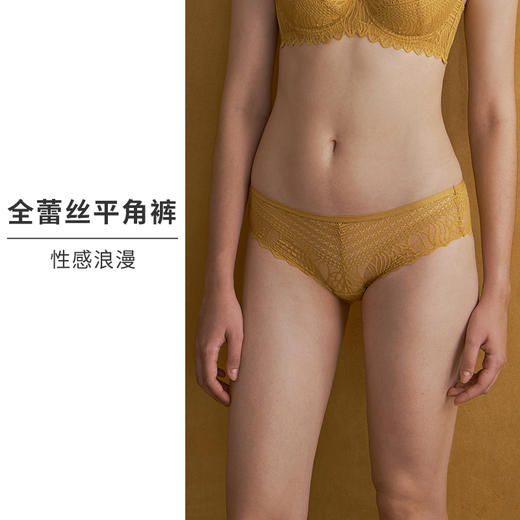 HSIA遐性感内裤女超薄全蕾丝无痕纯棉裆底舒适透气包臀中腰平角裤 商品图1