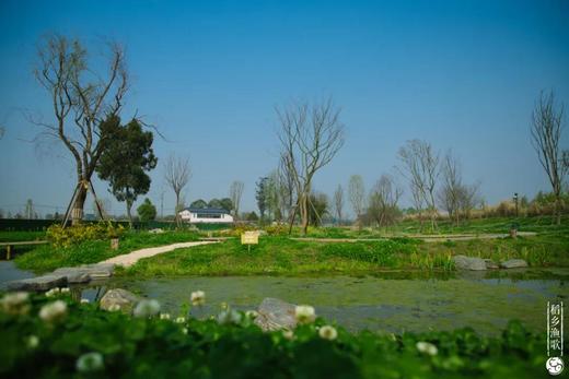 定了！4月18日！带孩子来稻乡渔歌，激情彩虹跑！ 【2026稻乡渔歌彩虹亲子跑】即将开启， 4公里亲子友好距离，轻松无压力！快来乡野撒欢！ 商品图13