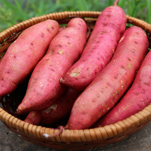 【密农特色 必买榜单】密农甜蜜薯  烤吃流油  香甜软糯  1斤 红薯 商品图5