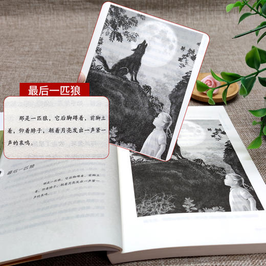 《百年经典儿童文学名家作品集》（全8册）中小学语文课外阅读 商品图5