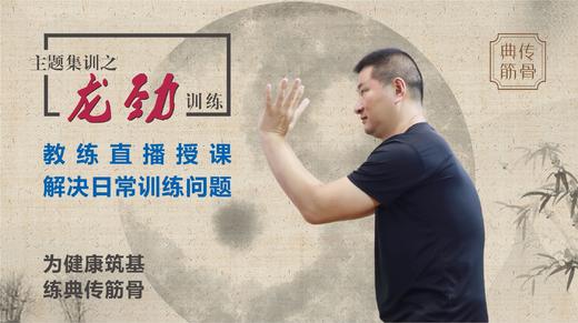 【龙劲训练】集训 商品图0