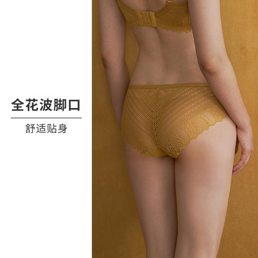 HSIA遐性感内裤女超薄全蕾丝无痕纯棉裆底舒适透气包臀中腰平角裤 商品图2