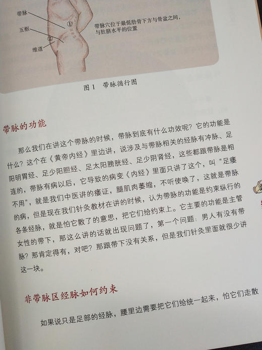 纬脉针灸特效疗法精要（疼痛篇）（中医师承学堂） 贾海忠 主编 中国中医药出版社 纬脉理论伟针慈方书籍 商品图2