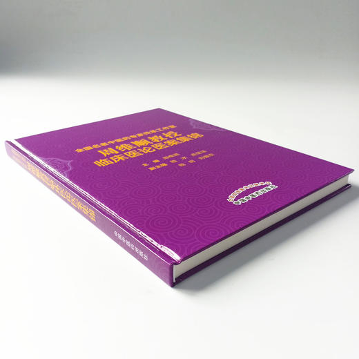 现货【出版社直销】周维顺教授临床医论医案集锦 周维顺 编著 中国中医药出版社 全国名老中医药专家传承工作室 中医临床 书籍 商品图4