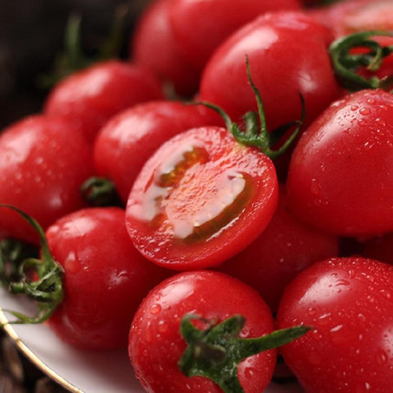 樱桃茄 酸甜爽口 8-9斤左右