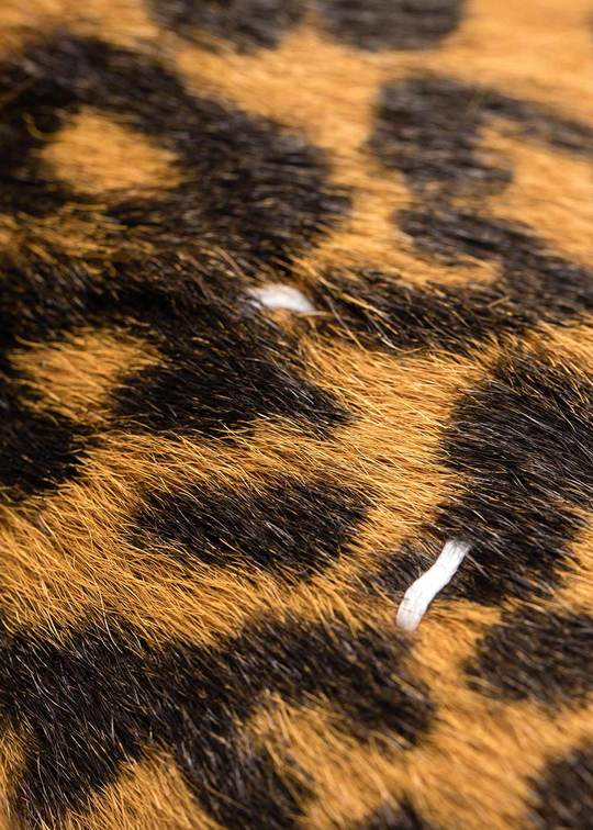 Maison Margiela Leopard Camden Loafers