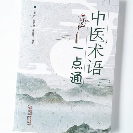 【出版社直销】中医术语一点通 牛彦辉王允娜牛家瑜 著 中国中医药出版社 阴阳五行 病因病机 治则与方药 内儿妇产五官科病症 针灸 商品图4