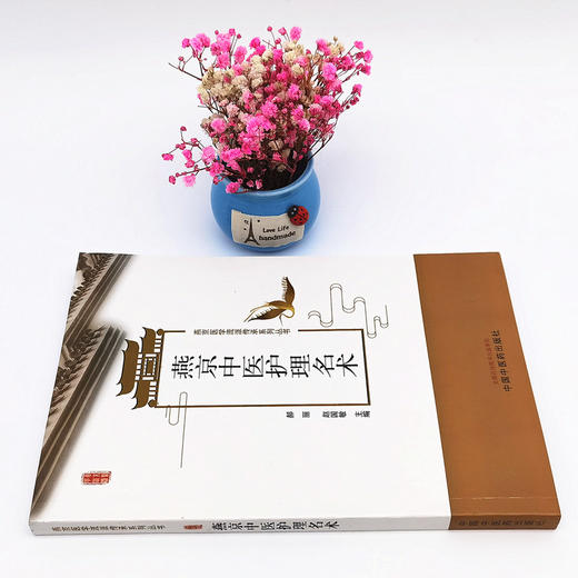 正版 现货【出版社直销】燕京中医护理名术 郝丽 赵国敏 主编 中国中医药出版社  外科 妇科 儿科 中医临床书籍 商品图2