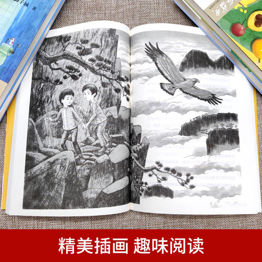《百年经典儿童文学名家作品集》（全8册）中小学语文课外阅读 商品图3