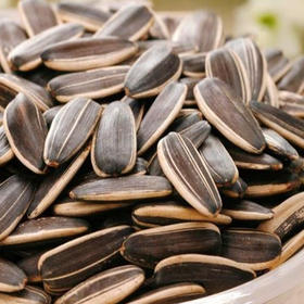 【8.9元/斤】散称干炒瓜子（0900145）