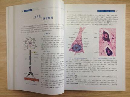 现货【出版社直销】组织学与胚胎学（新世纪全国高等医药院校规划教材）刘黎青 主编 中国中医药出版社 商品图3