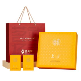 武夷星 大红袍 武夷茗扬 一级 大红袍 武夷岩茶 199g