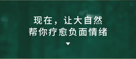 几光自然情景音箱  极光绿 商品图3