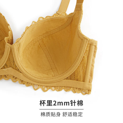 HSIA遐 内衣女薄秋色迷人蕾丝性感上托夹棉防凸点bra大胸显小文胸 商品图4