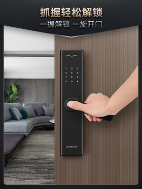 德施曼密码锁指纹锁家用防盗门智能锁V7
