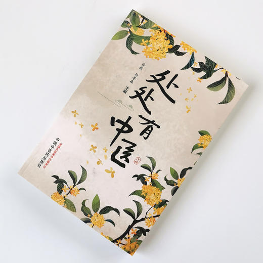 正版 现货 【出版社直销】 处处有中医  徐侃 孙鲁淼 著 中国中医药出版社 中医书籍  中医科普 养生 保健 商品图2