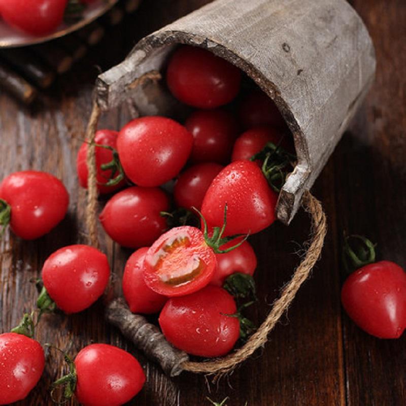 樱桃茄 酸甜爽口 8-9斤左右