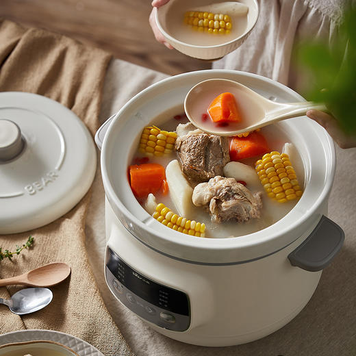 【小程序】小熊电炖盅全自动家用婴儿隔水炖锅陶瓷燕窝煮粥神器多功能煲汤锅DDG-D30H5 商品图7