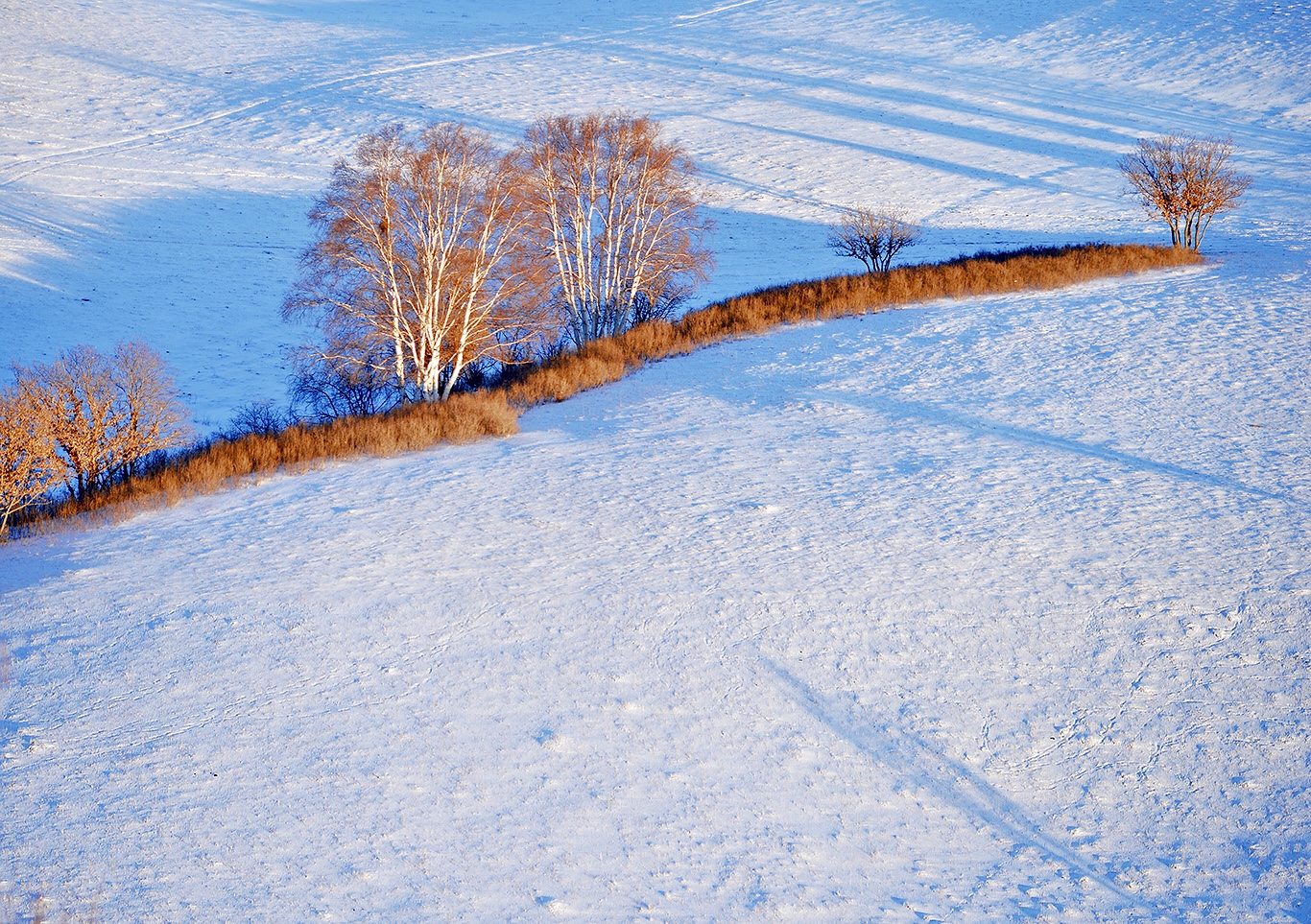 颂61雪坝上冬季坝上金山岭长城7天雪魅摄影