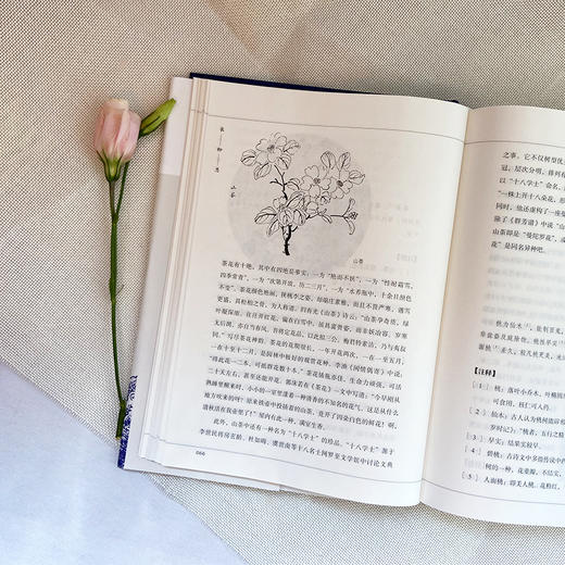 长物志：插图珍藏版（讲究！文征明重孙的282种“多余无用”的生活美学，一本书得见从古至今中国文人意趣的缩影）3001127 商品图2