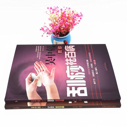 套装2本 吴中朝教你艾灸祛百病+吴中朝教你刮痧祛百病 吴中朝 主编 中国中医药出版社 养生保健 艾灸疗法 中医书籍 商品图2