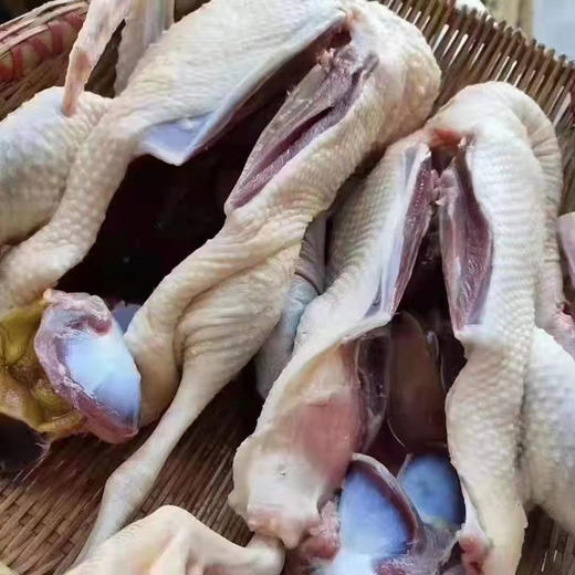 象山2年老海鸭 （净重2.2斤-2.8斤/只） 商品图4